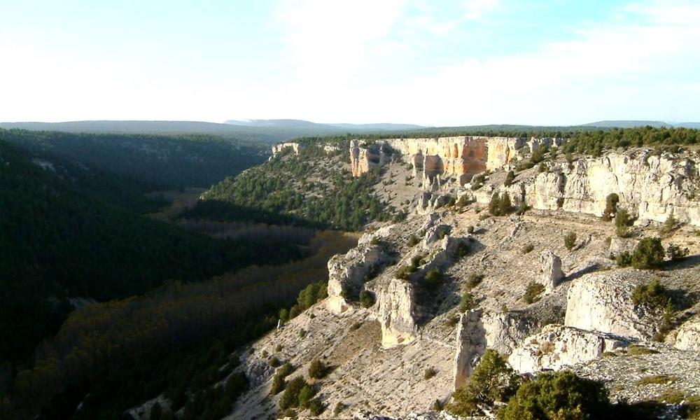Hotel Rural La Corte De Los Pinares ビヌエサ エクステリア 写真